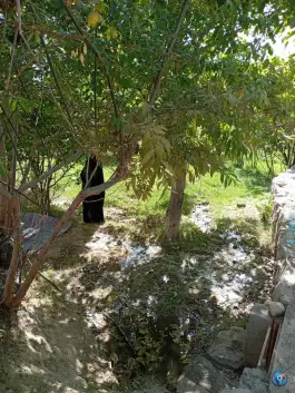 عکس قلعه نو اندرخ، اندرخ، مشهد 3