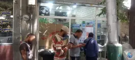 عکس ساندویچ موسیو، آذربایجان، تهران 4
