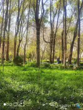 عکس پارک باقوشخانه، محله شاهد، اصفهان 2