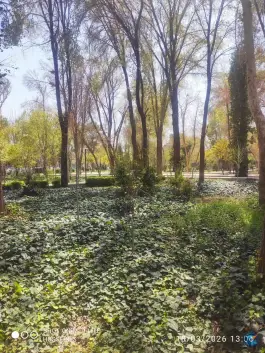 عکس پارک باقوشخانه، محله شاهد، اصفهان 3