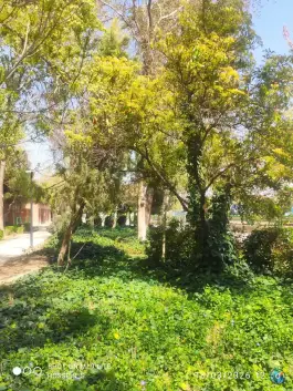 عکس پارک باقوشخانه، محله شاهد، اصفهان 5
