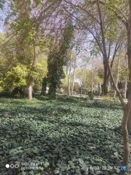 عکس پارک باقوشخانه، محله شاهد، اصفهان 6