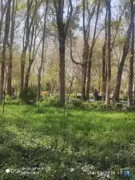 عکس پارک باقوشخانه، محله شاهد، اصفهان 8