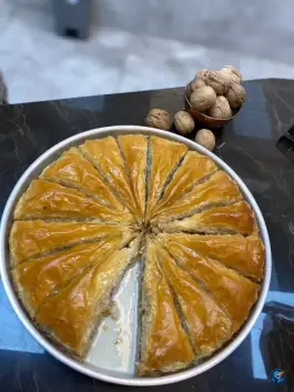 عکس رضا باقلوا، عفیف آباد، شیراز 2