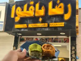 عکس رضا باقلوا، عفیف آباد، شیراز 5