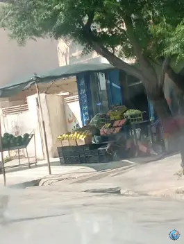 میوه و تره بار دهپیاله شیراز