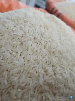 عکس برنج گیلانه عظیمی کرج 3