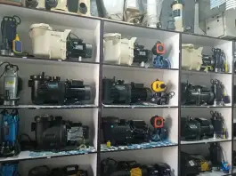عکس آریا استخر قلات کودیان شیراز 2