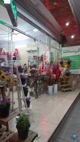عکس های گل گریتسا محله فلسطین اصفهان