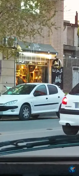 گل مارانتا مظاهری اصفهان
