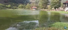 عکس دریاچه نیلوفر آبی استخرگاه، دفراز، رودبار 3