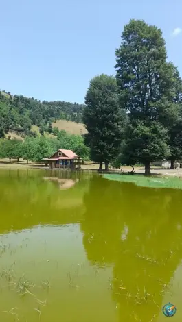 عکس دریاچه نیلوفر آبی استخرگاه، دفراز، رودبار 6