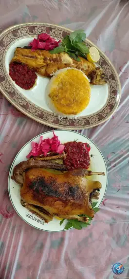 عکس آشپزخانه و غذاخوری دوقلوها+۱، اسالم 4