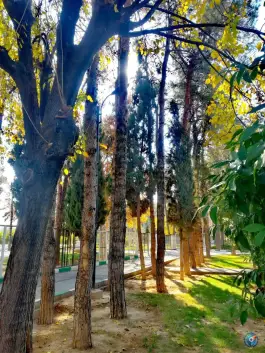بوستان مروارید، محله رازی، شیراز