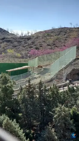 عکس پارک وحش صفه اصفهان 2