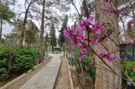 عکس هتل پارسیان یزد در محله بلوار جمهوری شهر یزد 6