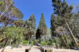 عکس هتل پارسیان یزد در محله بلوار جمهوری شهر یزد 7
