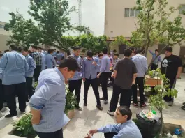 عکس دبیرستان علم و ادب، محله مجیدیه، مشهد 10