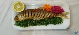 عکس رستوران ماهی و پرورش ماهی سرزمین ماهی ساری، جاده فرح آباد، ساری 5