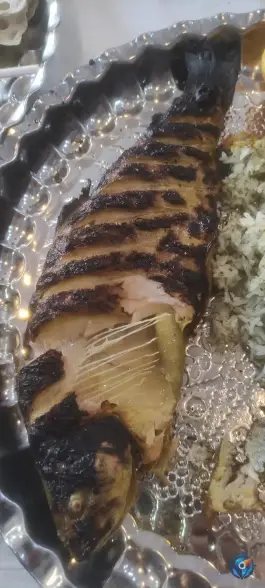 عکس رستوران ماهی و پرورش ماهی سرزمین ماهی ساری، جاده فرح آباد، ساری 7