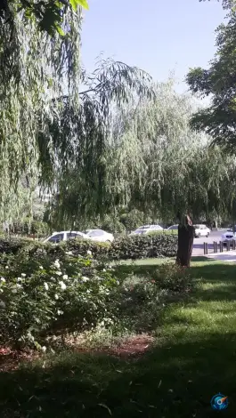 عکس بوستان نژاد فلاح چهارصد دستگاه کرج 3