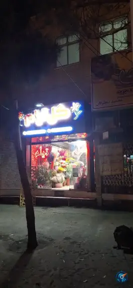 گل فروشی تیام، طلاب غیر ایرانی، قم