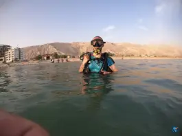 عکس مدرسه آموزش غواصی دریاکوش کنگان 3