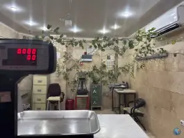 عکس قصابی طاها، اراضی بهداری، قم 2