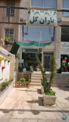 باران گل، سپاه شمالی، شیراز