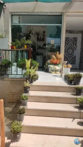 عکس باران گل، سپاه شمالی، شیراز 2