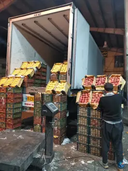 عکس غرفه 152 مرتضی علیزاده، شهدای اتحادیه، شیراز 4