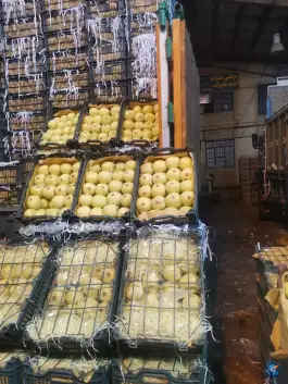 عکس غرفه 152 مرتضی علیزاده، شهدای اتحادیه، شیراز 5