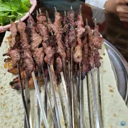 عکس جگرکی گلهای کاشان، کاج جنوبی، تهران 2