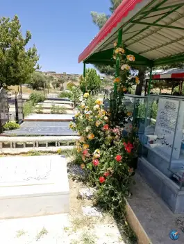 عکس وادی خاموشان شیراز 2