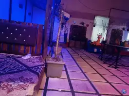 عکس فست فود ترنج، بلوار طبرسی شمالی، مشهد 9