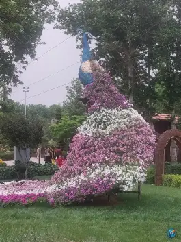 عکس پارک لاله ها، بلوار چمران، کرج 8