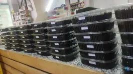 عکس دهکده سبزی، شهدا «شهرک ابوذر»، کرج 4