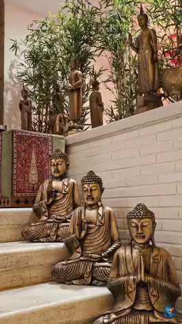 عکس رستوران هندی مهاراجه ولیعصر تهران 4