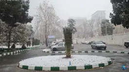 دانشکده مجازی، آموزش پزشکی و مدیریت تهران - جردن