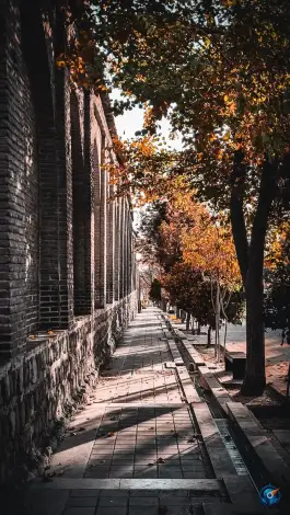 عکس مرکز اسناد و کتابخانه ملی فارس، حافظیه، شیراز 4