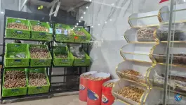 خشکبار شهر گردو، رکن آباد، شیراز