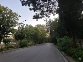 پردیس دانشگاه علوم پزشکی مشهد در محله دانشگاه