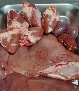 عکس کبابی عمو حسین، امام خمینی شمالی، فیروزآباد 5