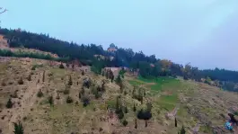 عکس بوستان جنگلی باباکوهی، محله جمهوری، شیراز 3