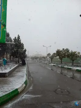 عکس دانشگاه آزاد مشهد دانشکده مهندسی، محله استاد یوسفی، مشهد 10