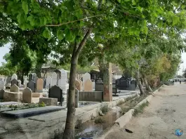 عکس دارالرحمه شیراز، محله دارالرحمه، شیراز 5