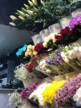 عکس گلفروشی پاچیرا، کوی طلاب، شیراز 4