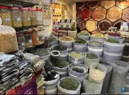 عکس محصولات برغان، روستای برغان، کرج 2