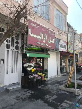 عکس گل آزالیا لاله سپاه شمالی شیراز 2