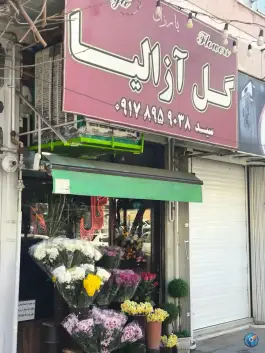 عکس گل آزالیا لاله سپاه شمالی شیراز 3